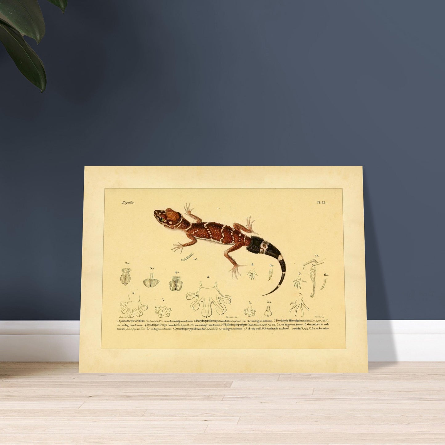 6064bf27-ac9b-4954-8a89-b9d1ea2c840b