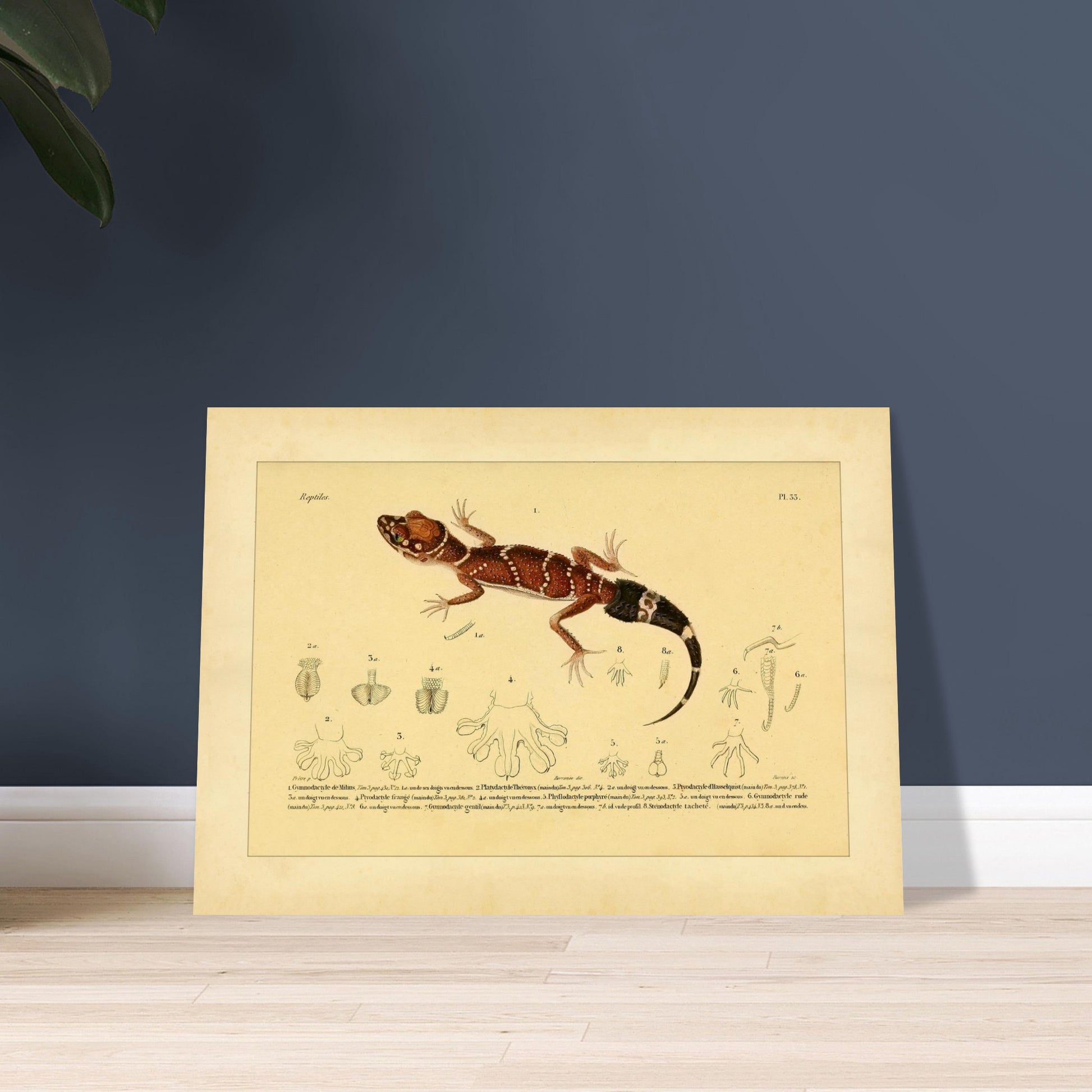 6064bf27-ac9b-4954-8a89-b9d1ea2c840b