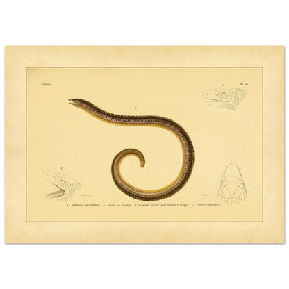 60a900b4-88a6-4902-805a-391d0500229d