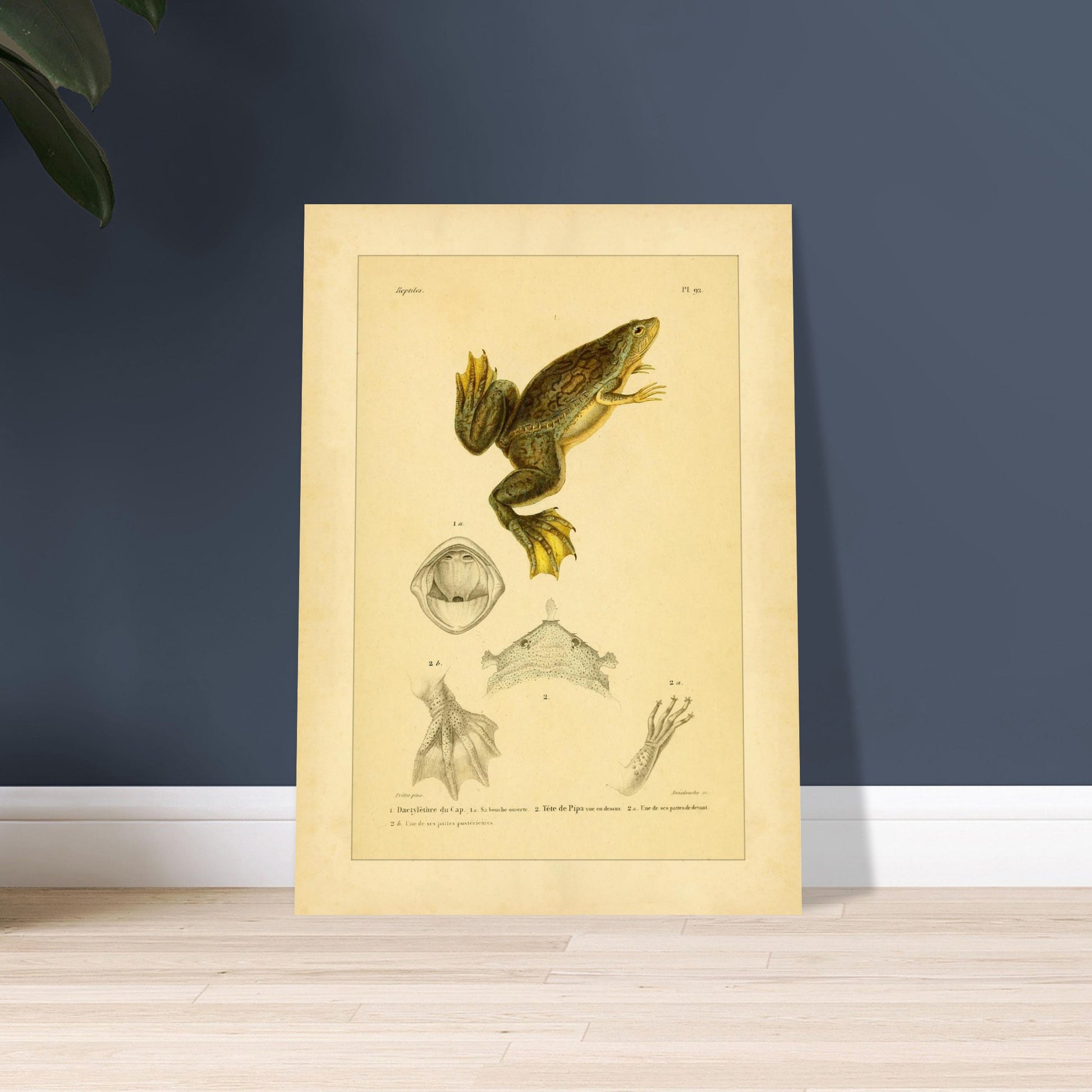 6494b847-d4e1-4636-8130-6222cda939a8