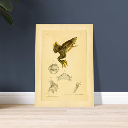 6494b847-d4e1-4636-8130-6222cda939a8