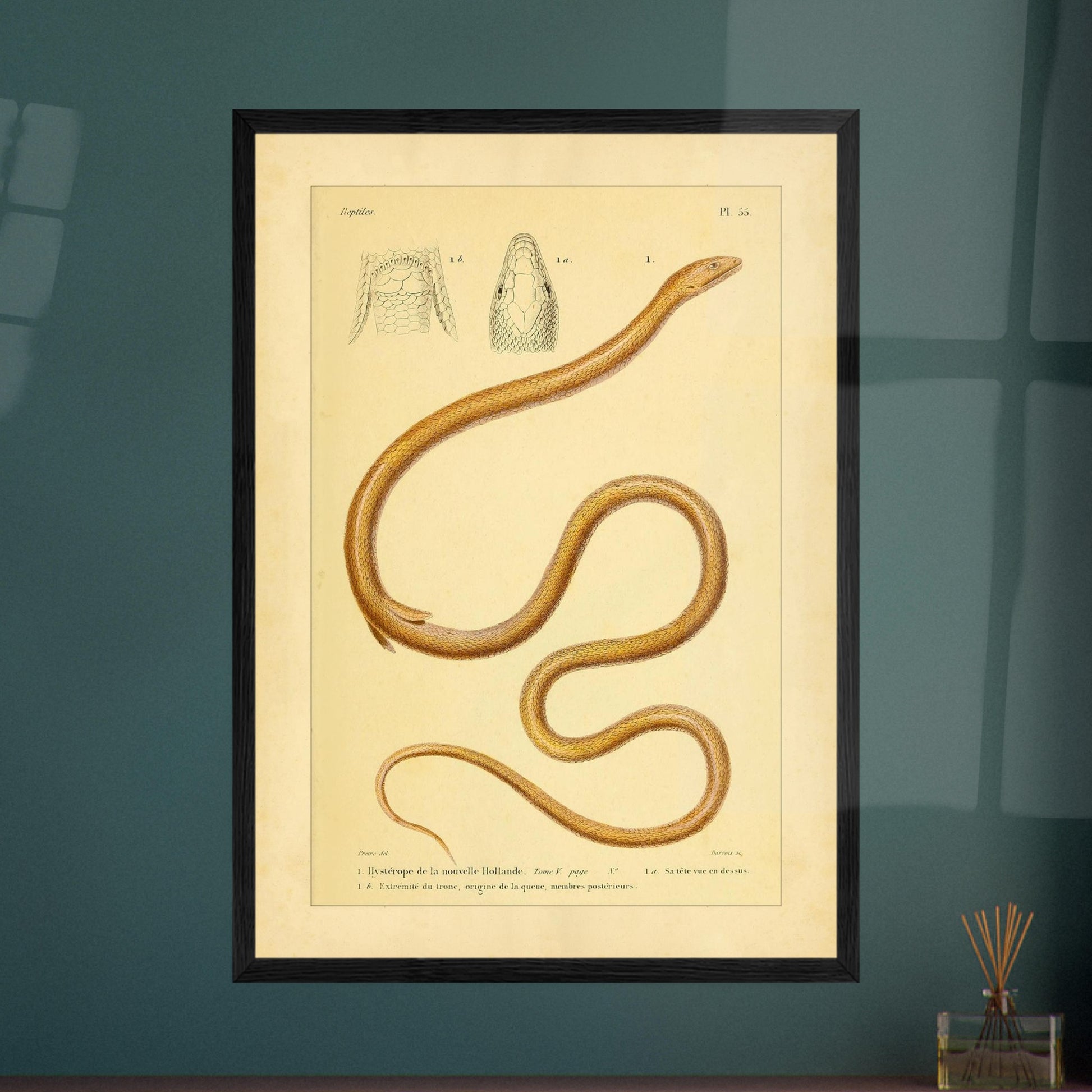 64e739bc-4aad-41c5-b2ff-9d0707402f42