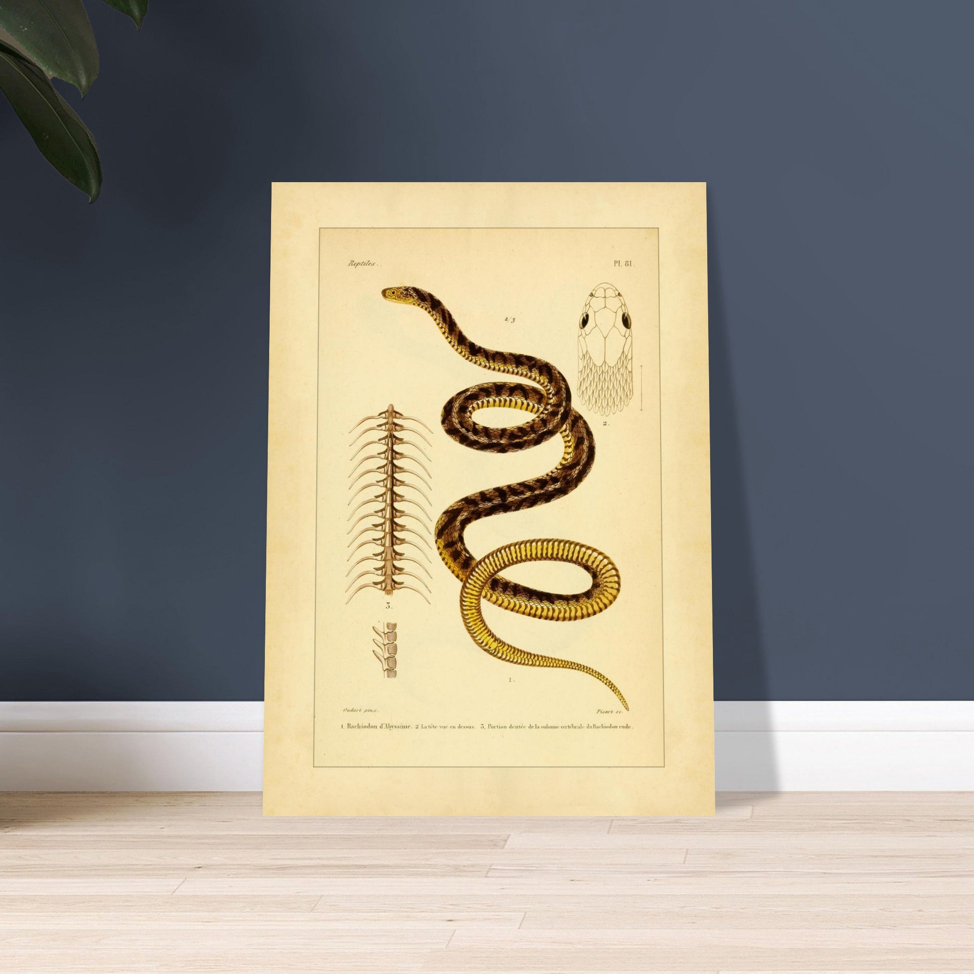 64f4120a-d58a-43c9-b44a-8603a33806e0