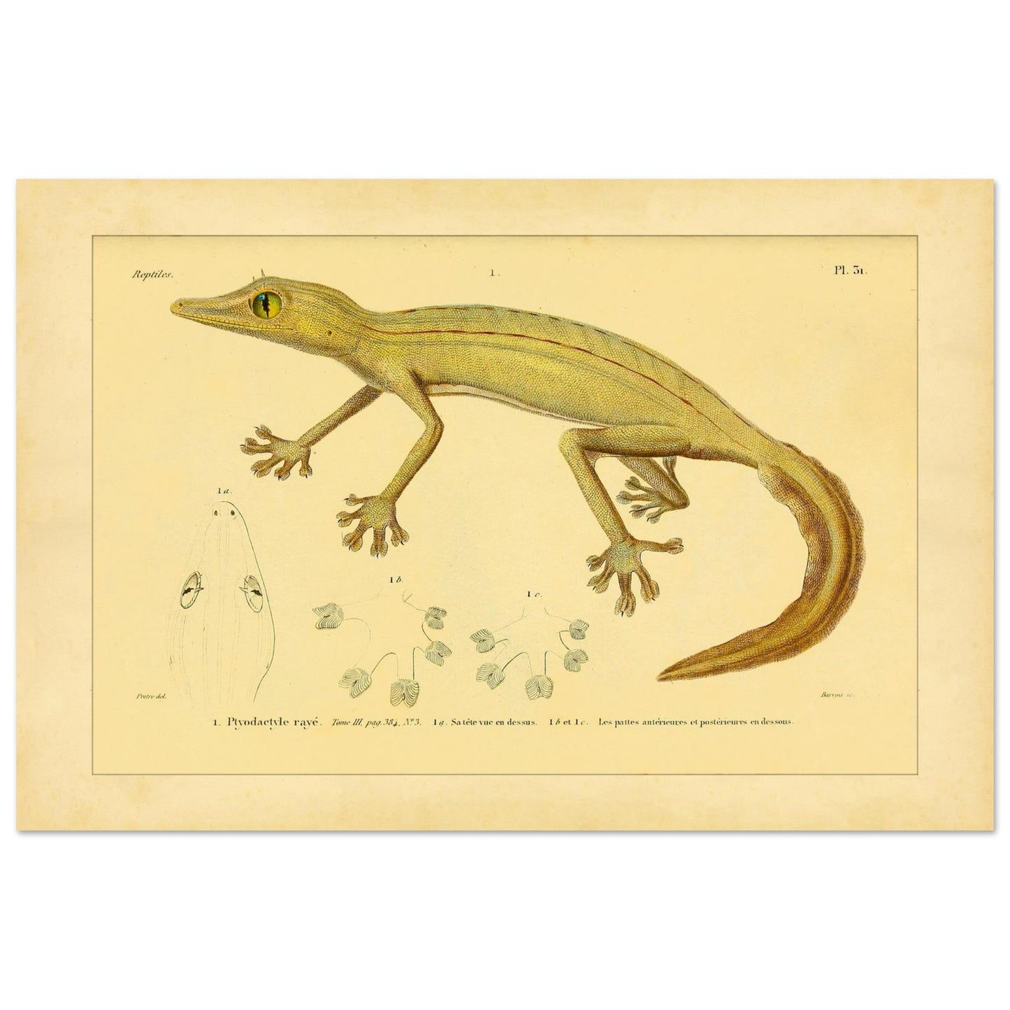 668965bb-cdcb-4482-ab8a-2c33163bf9f8