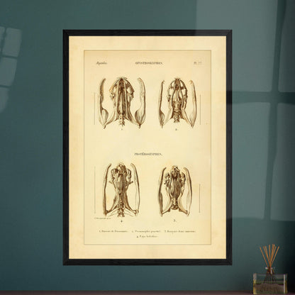 671d6849-a220-4e9d-bbc0-ff50353f0ecc