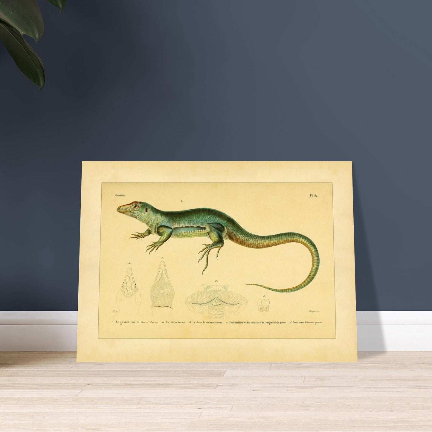 6a0dc3b8-d0aa-491d-aa21-0a2ed1c29581