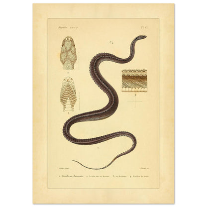 6d831050-c3bb-45d2-b3f9-e7e251d869cb