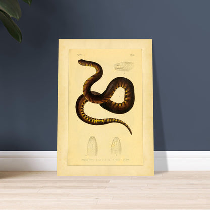 6ef46a3b-efbc-4766-a950-1aa2d2d61c59