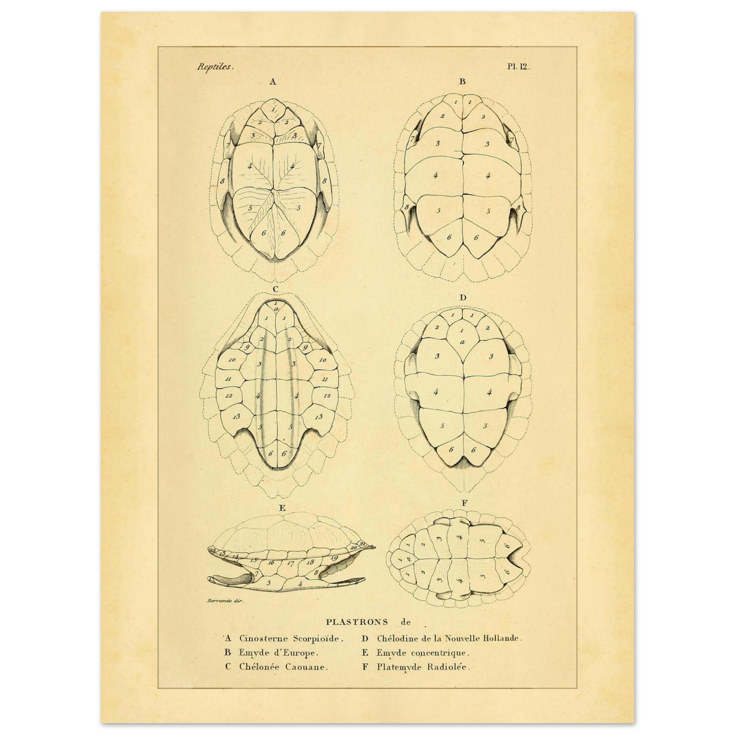 6f88f585-da76-4e34-8038-c919525b09dd