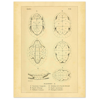 6f88f585-da76-4e34-8038-c919525b09dd