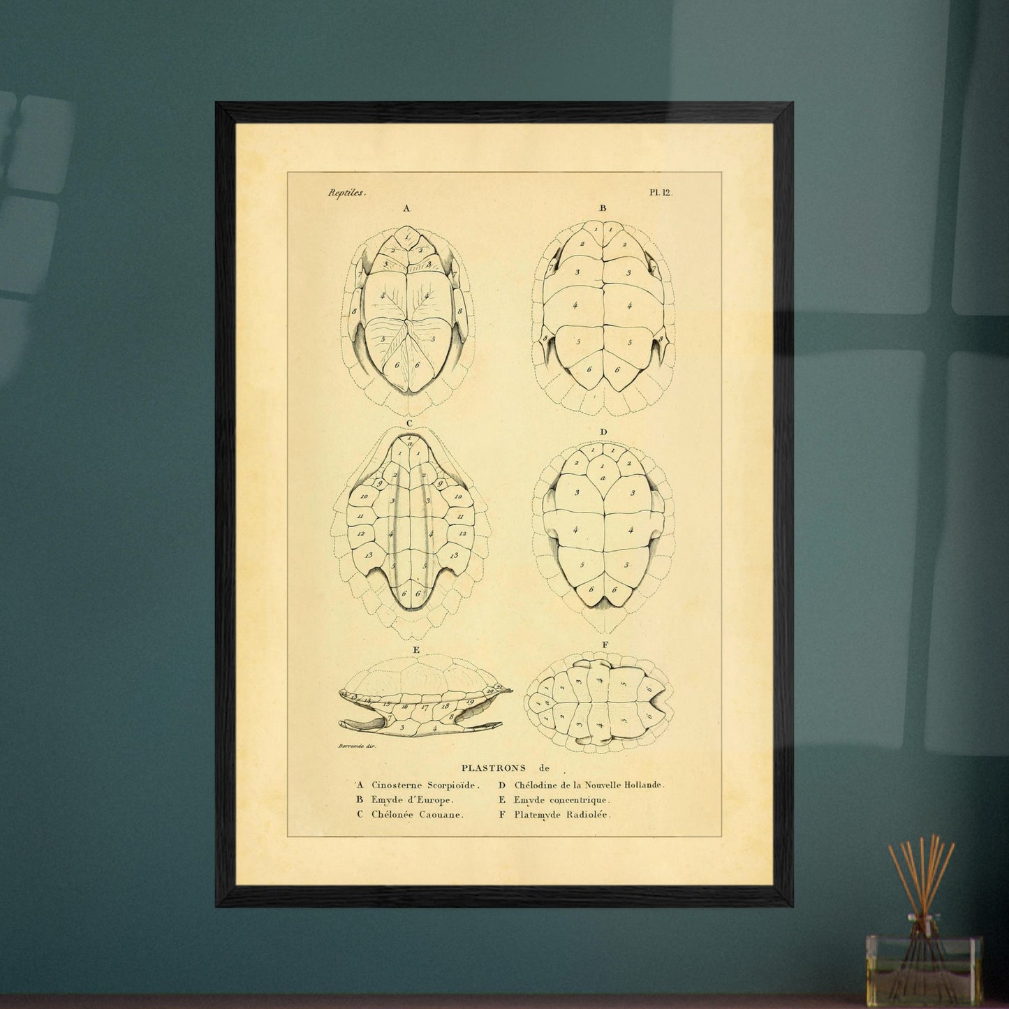 6fb04c11-b59b-4870-a7f8-80e4eecfc705