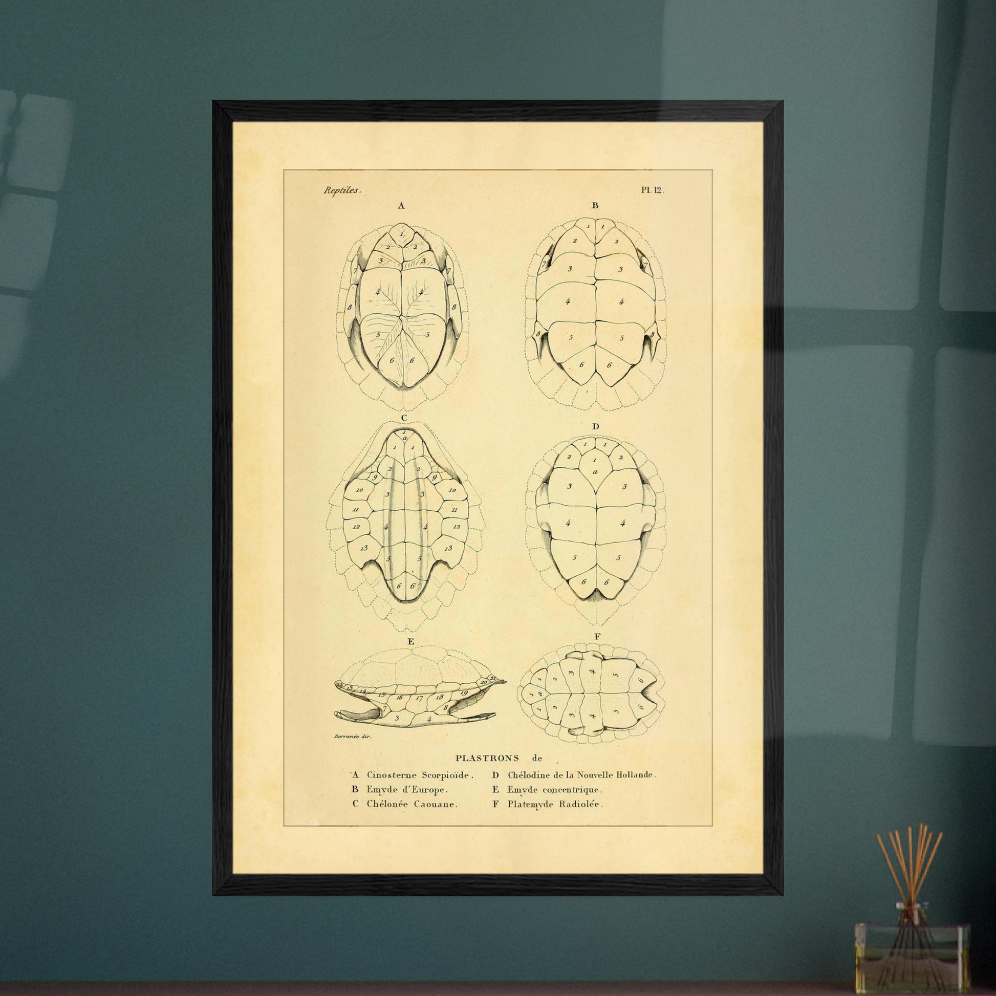 6fb04c11-b59b-4870-a7f8-80e4eecfc705