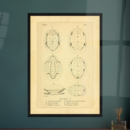 6fb04c11-b59b-4870-a7f8-80e4eecfc705