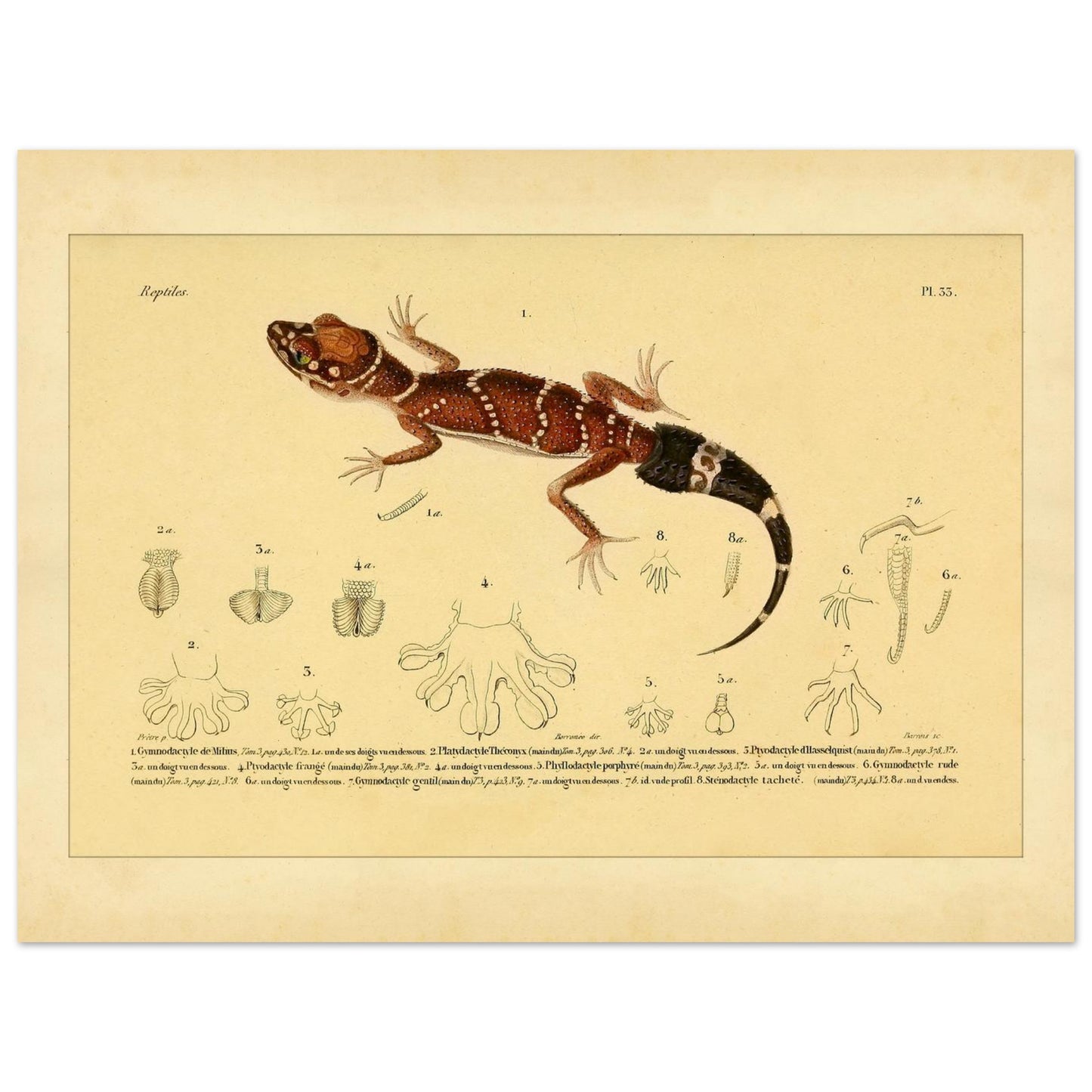 707b9c41-72b7-40f1-8d13-798d1e0e2c17