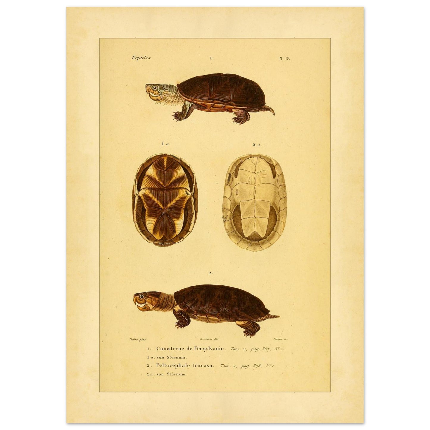 70d894e5-47c2-48c9-b0dd-2d102c69f749