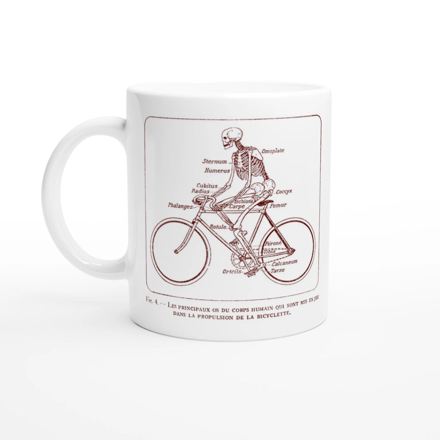 71f4bbab-eecd-4dcc-8014-d87d54904912