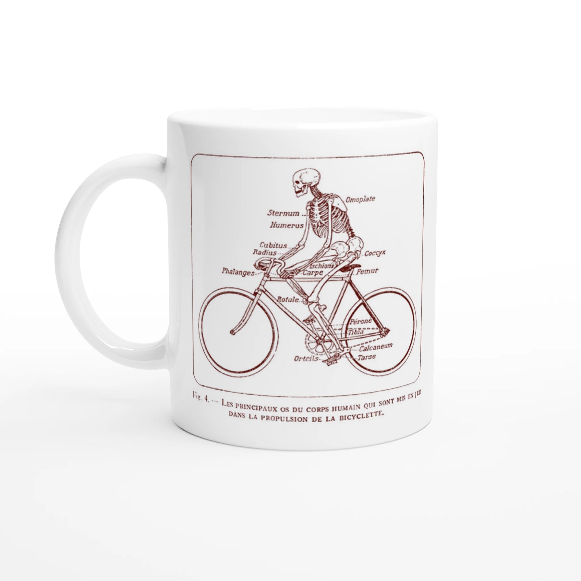 71f4bbab-eecd-4dcc-8014-d87d54904912