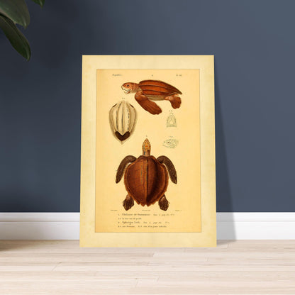 724cfae9-5d29-4811-ae85-a5ab58c8b831