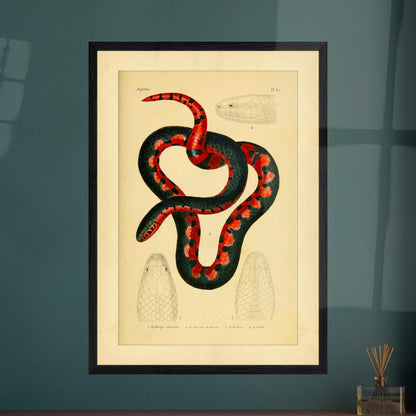 735fa2f3-18a2-4cf7-85d1-6815a24cdc1a