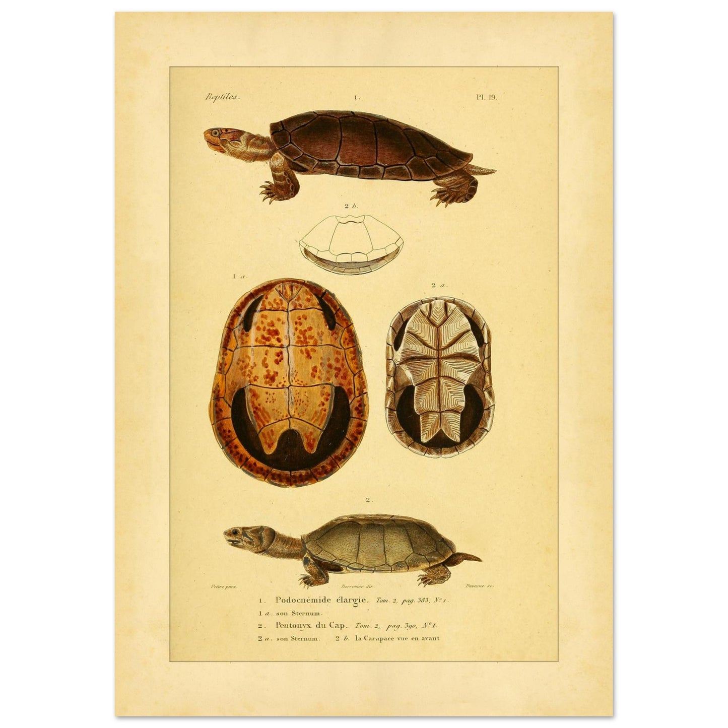 73893728-d70c-4689-b4a0-c9c3482200e5