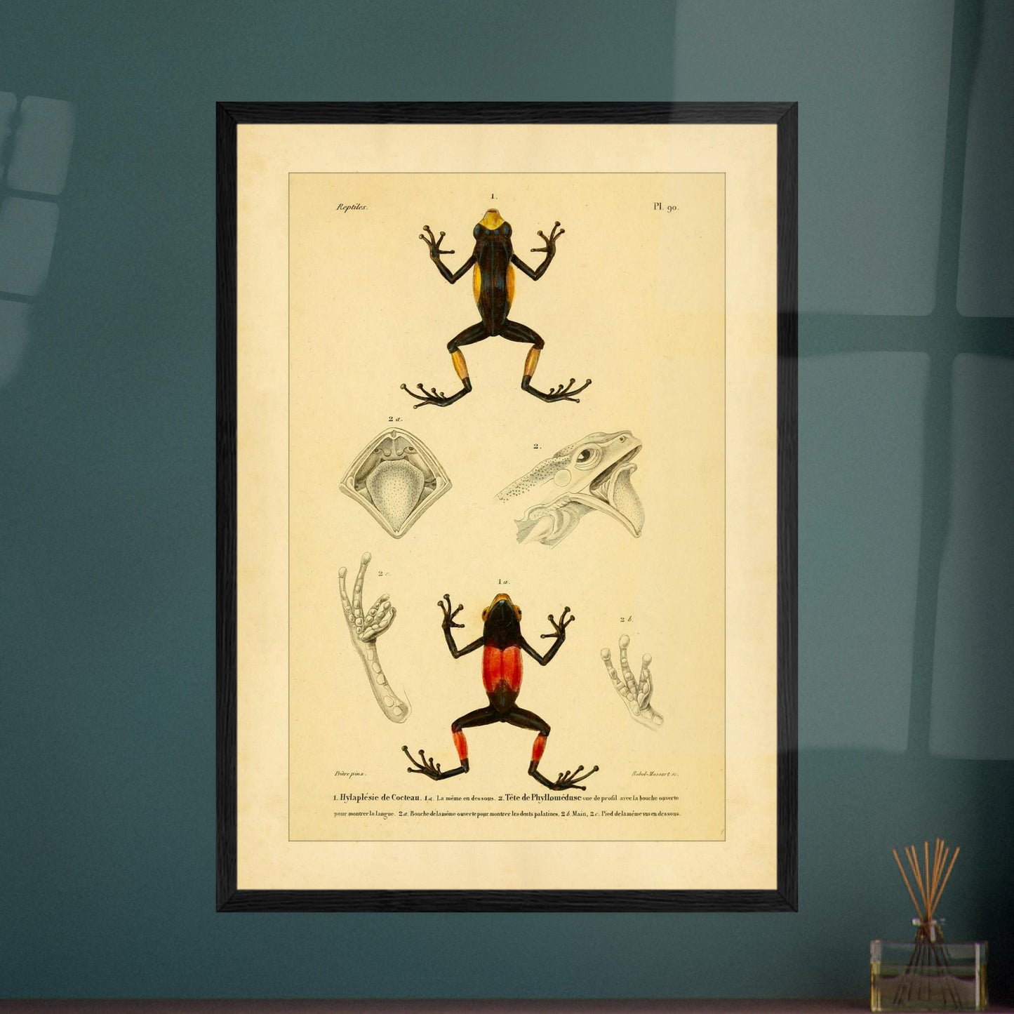 749b35b7-b43a-4dfe-9e20-59e04077328b