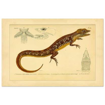 76391bb8-b8b0-43a7-8640-63218f01717a