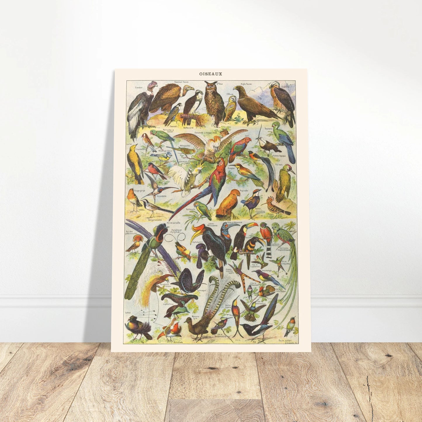 781a9ba2-4de2-41a9-b4f6-032be5d4ef54