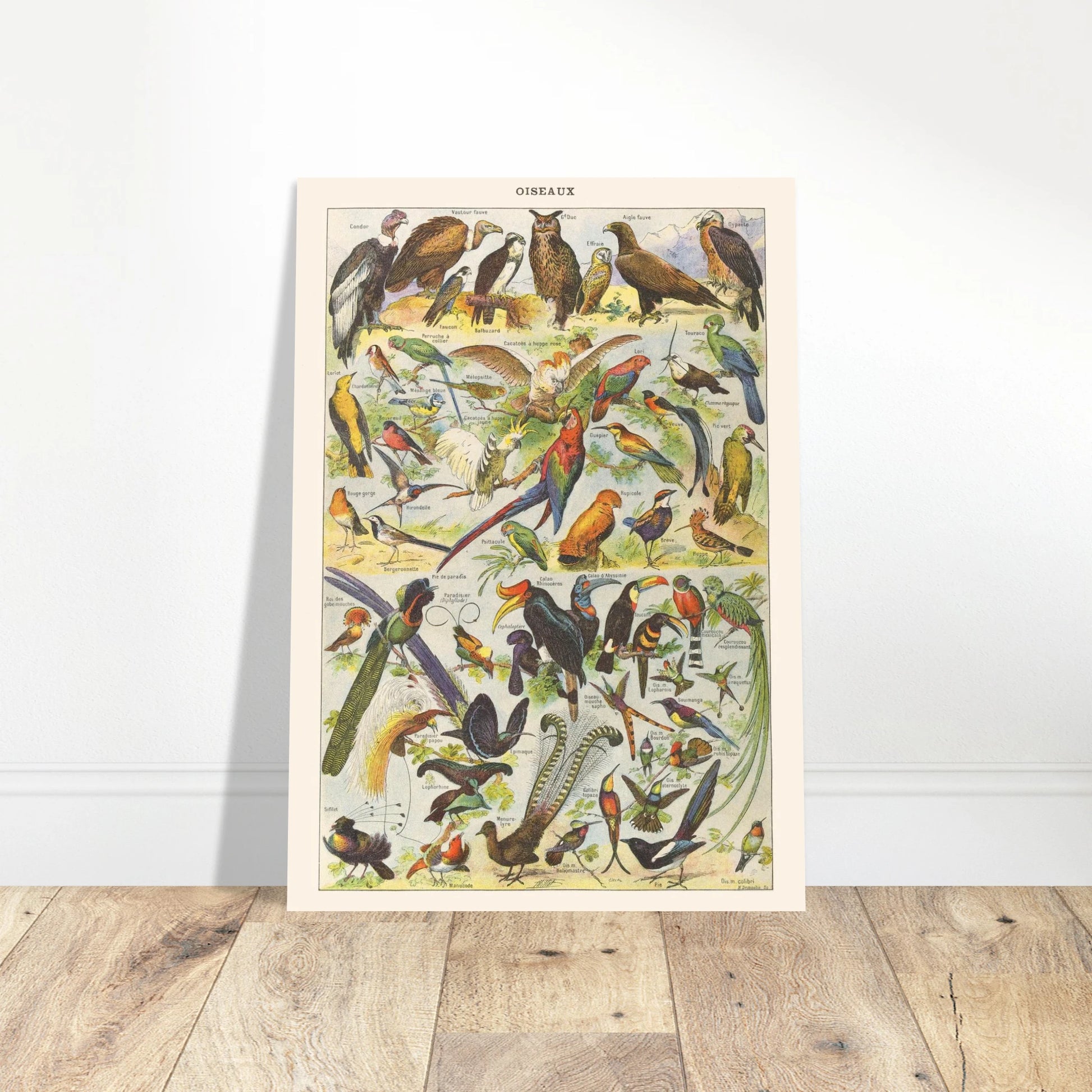 781a9ba2-4de2-41a9-b4f6-032be5d4ef54