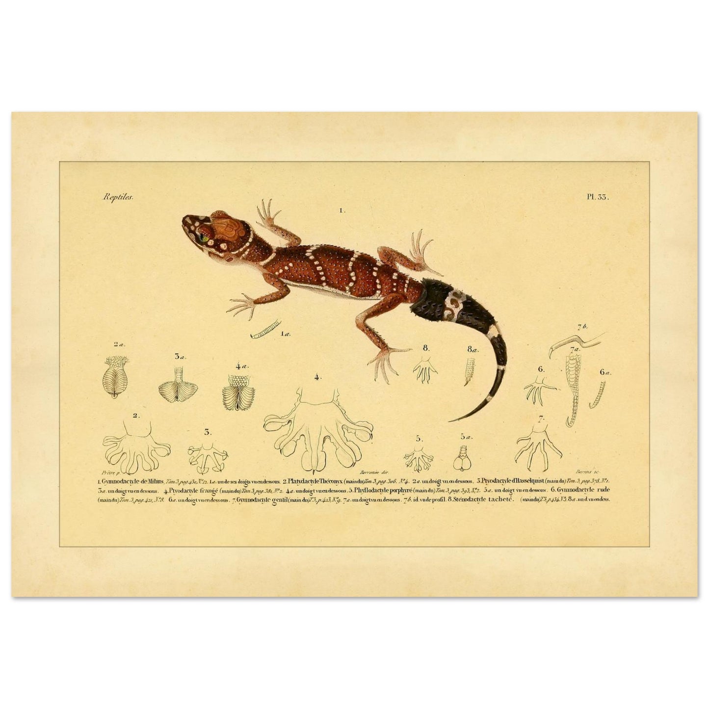 790147ed-0890-44c4-be54-b2d906976742