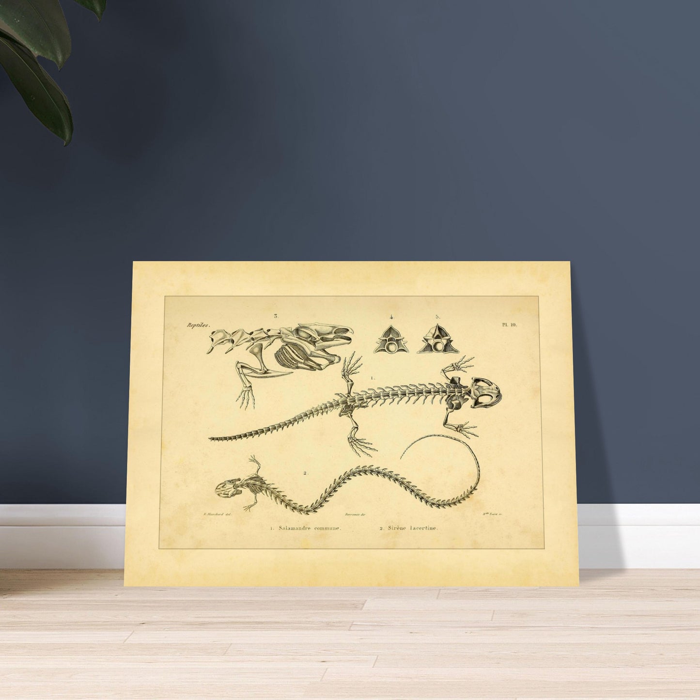 79a449df-f754-448d-b5ed-2d7faf7549ed