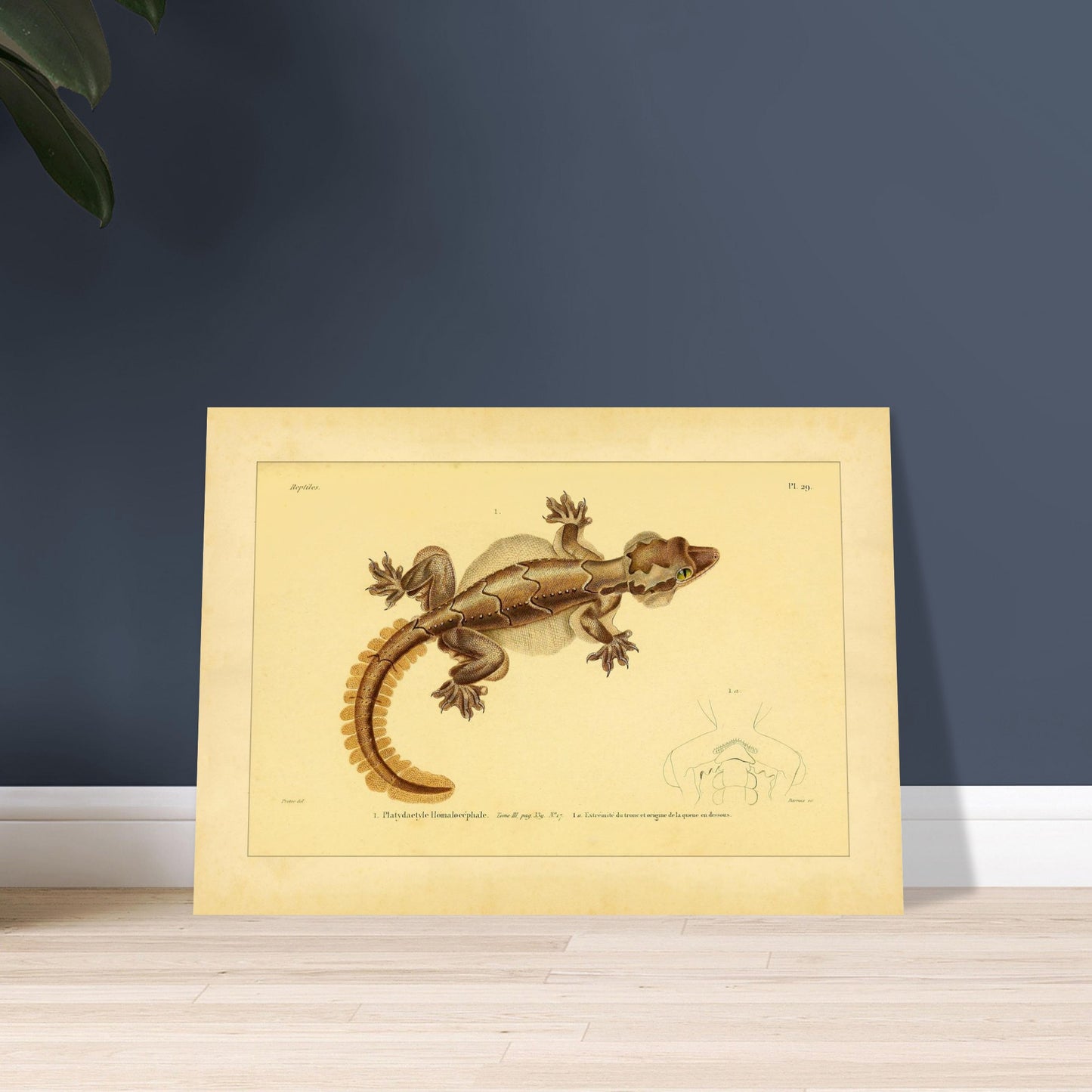 7c26817c-92ee-4417-9f68-2b87c2338920