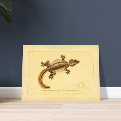 7c26817c-92ee-4417-9f68-2b87c2338920