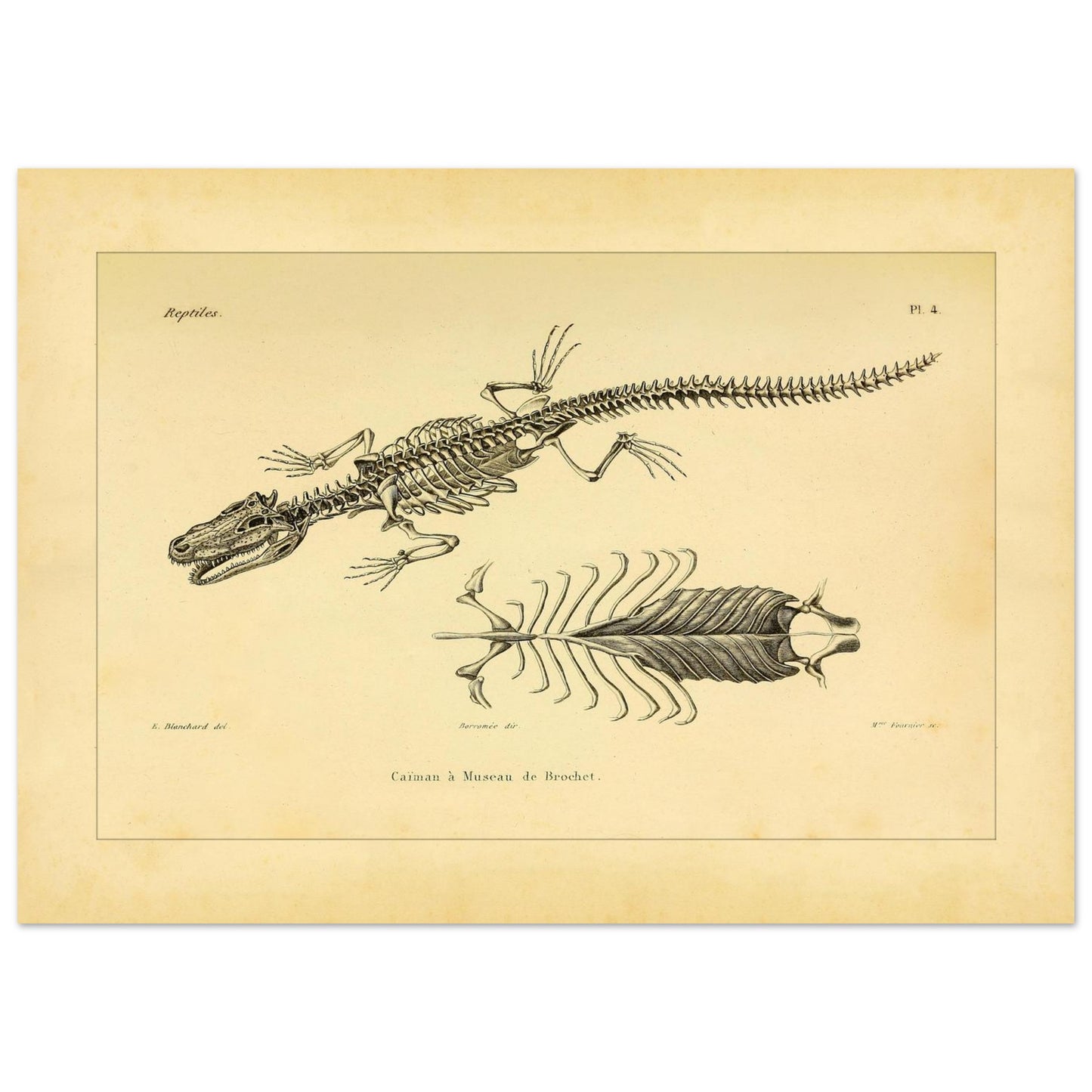 7ce9256f-bcac-4954-83c0-f72d898084a7