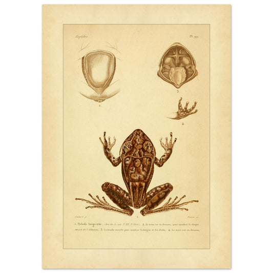 7dd53f01-1ebf-44ec-afa6-7204a4a036fd