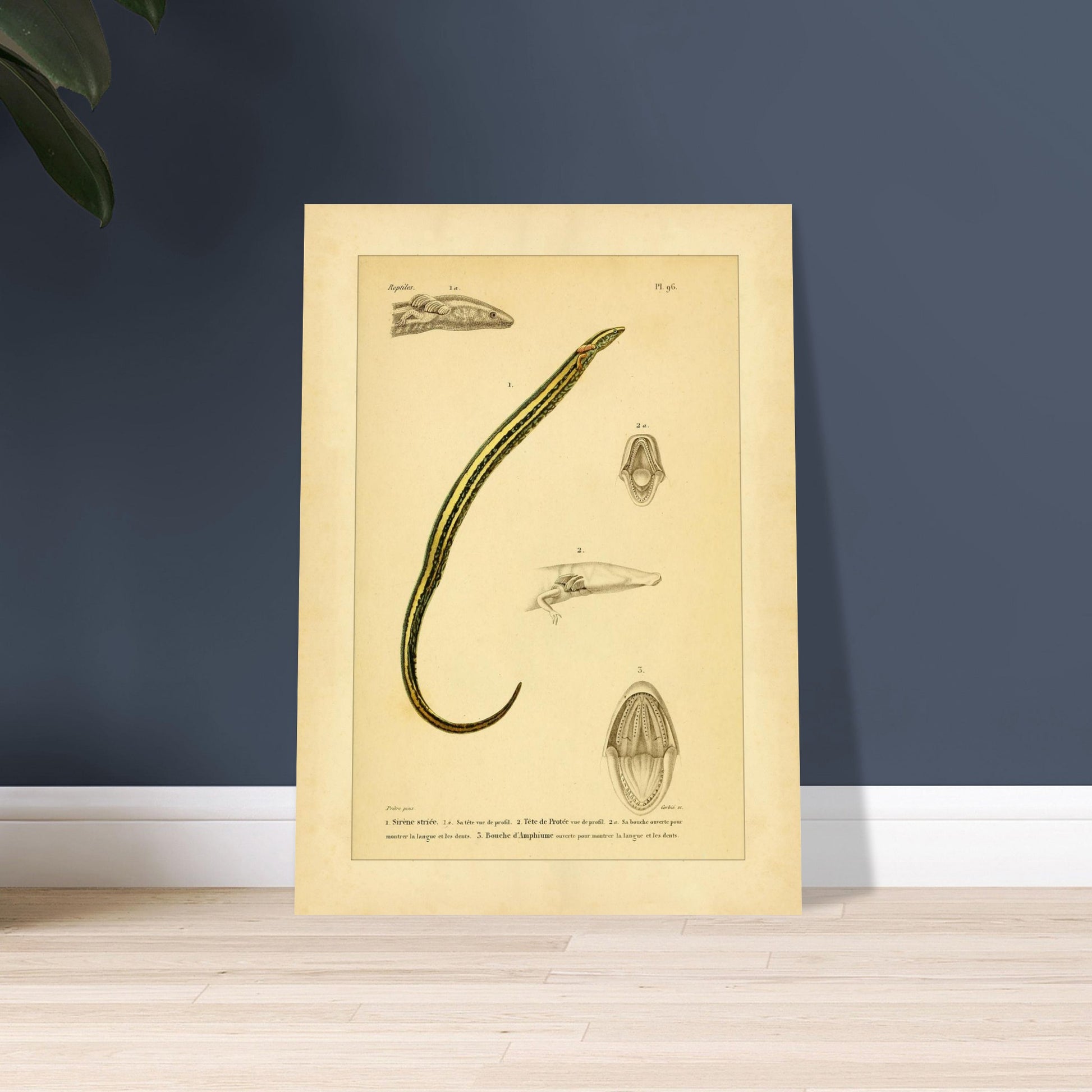 7e1f5169-6e88-4e74-8d7b-29e5dccb6f6b