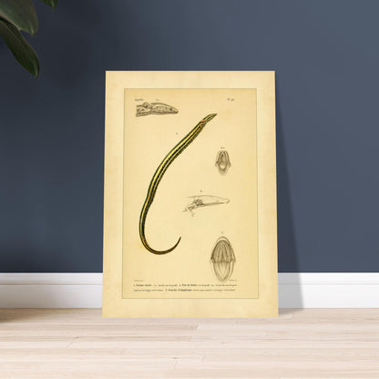 7e1f5169-6e88-4e74-8d7b-29e5dccb6f6b