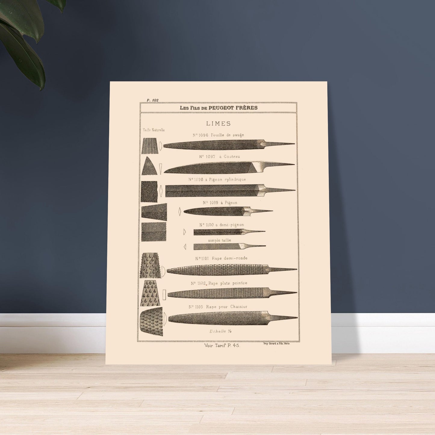 7e9a8017-dc9a-4525-a22f-e21845a4f71e