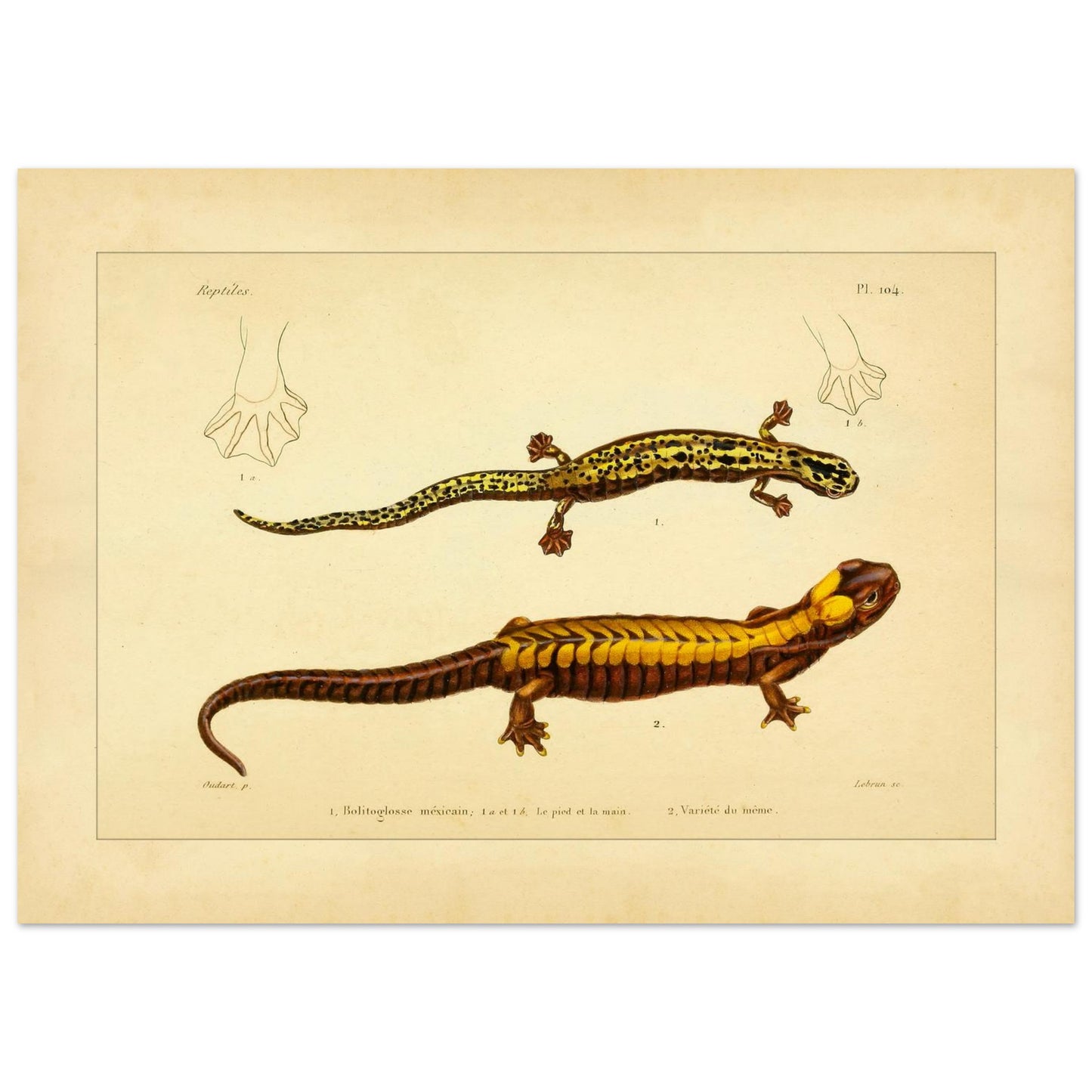 7f388104-bca8-4a38-a310-62a1fc613ee0