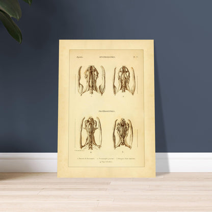 811aacbe-c357-4a35-85b2-0cefb1f19863