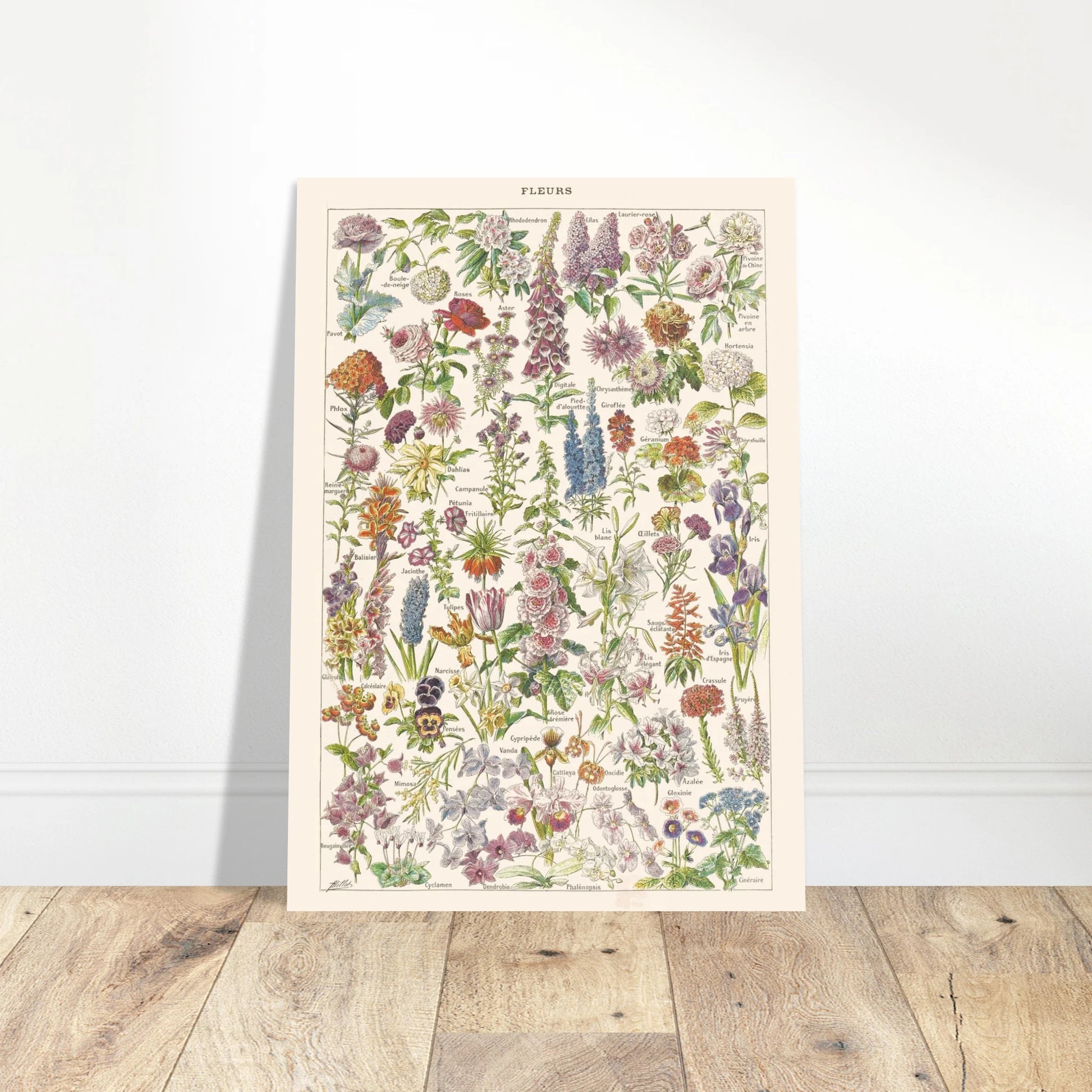 811c549d-8274-4ddb-8127-bf47ec8596c5