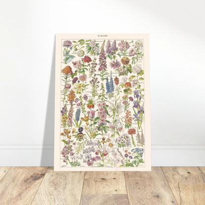 811c549d-8274-4ddb-8127-bf47ec8596c5