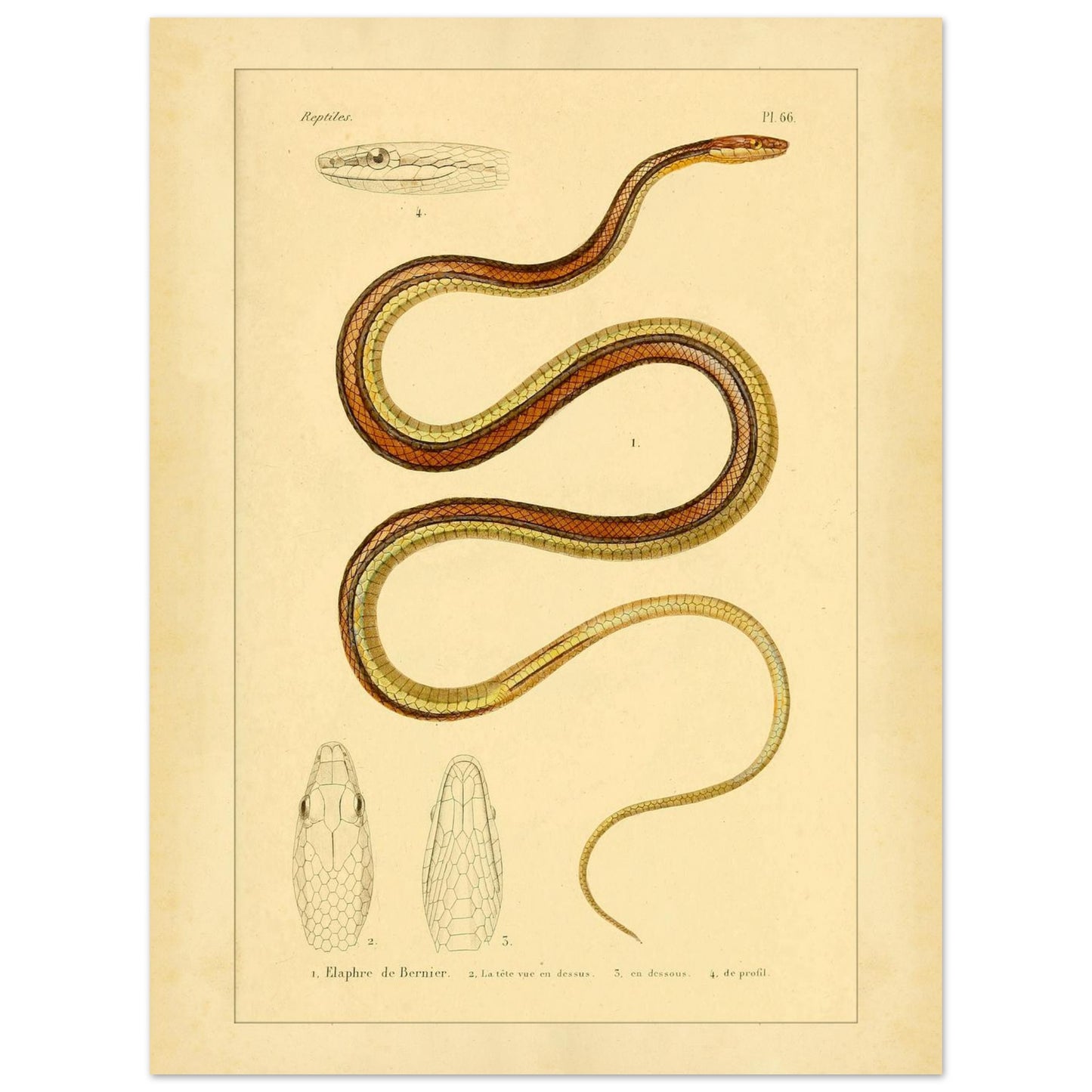 81ea4826-28f2-4f07-8cd7-5b9620ee1624