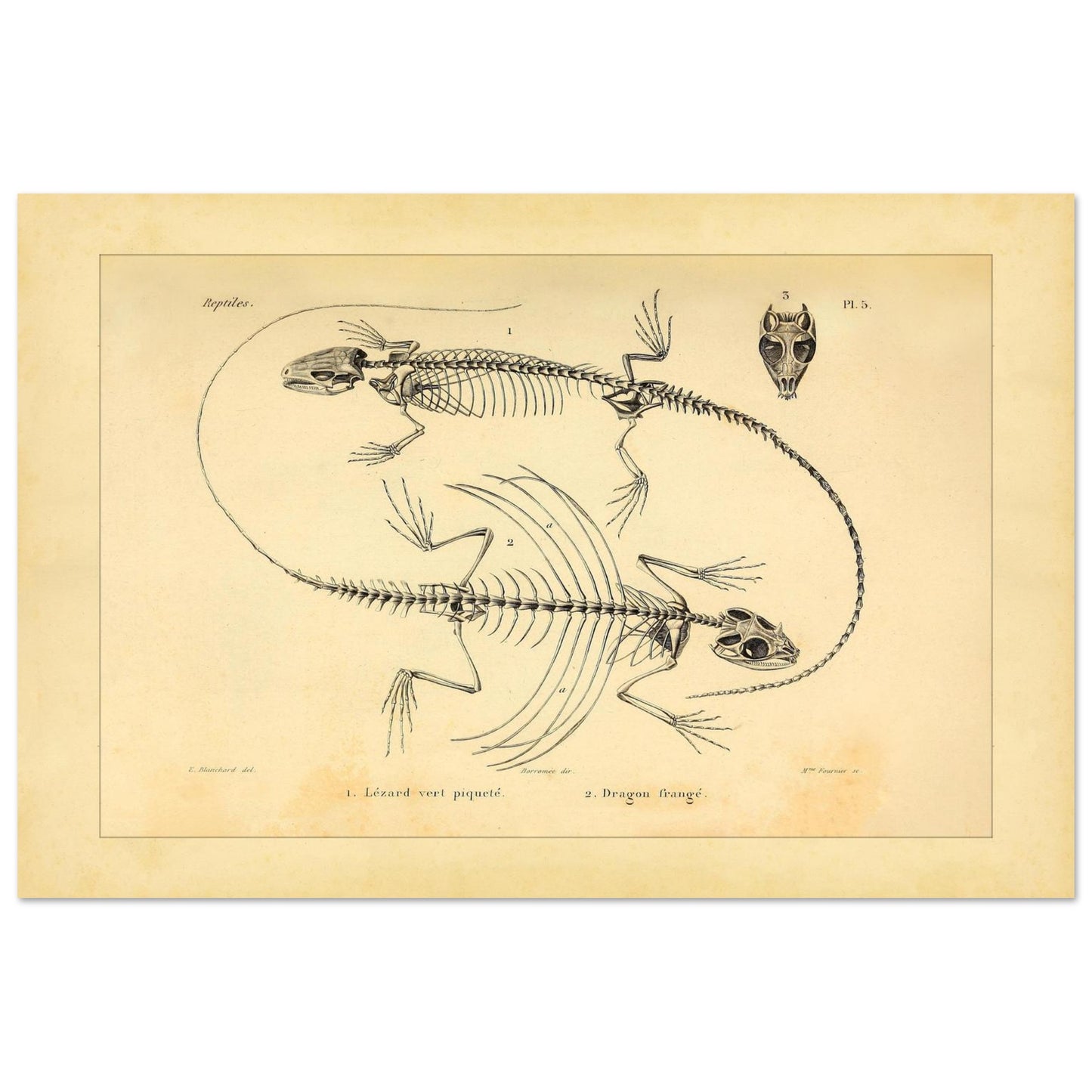 84c3d3a3-94bc-4eac-97c6-32a48ceefbe5