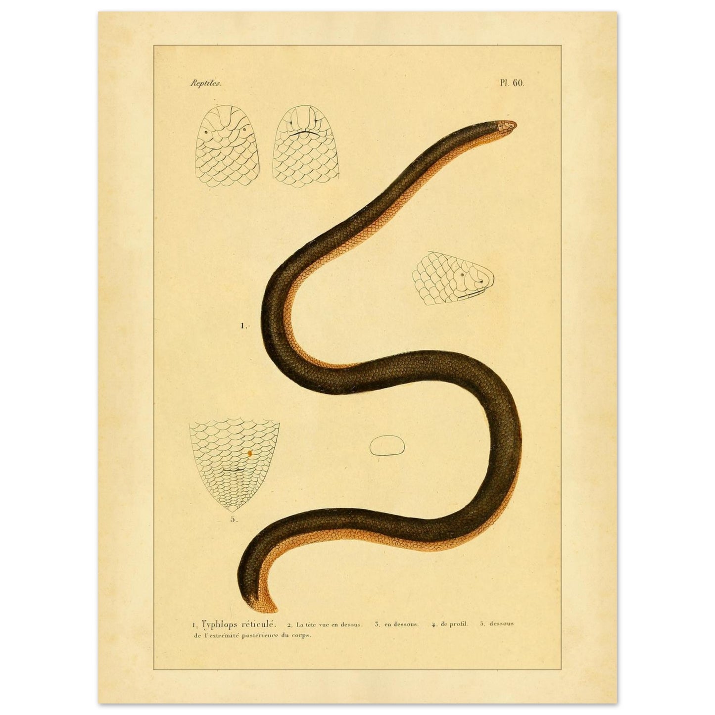 853a2fc2-98c6-4af6-9928-9871bc087dd1