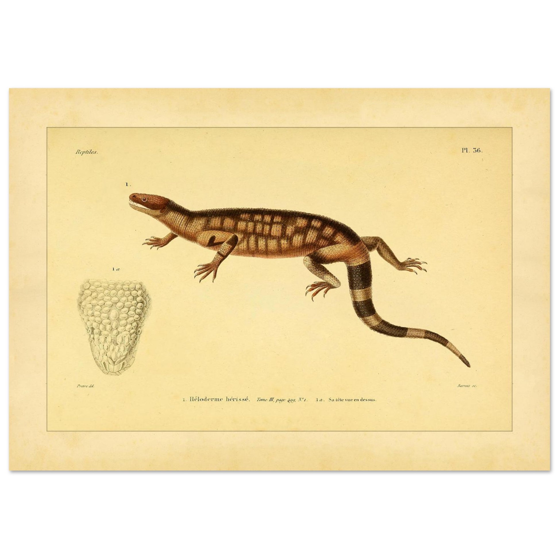 86f5b457-b528-4f00-adc4-c3e7782854f1