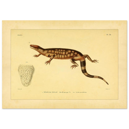 86f5b457-b528-4f00-adc4-c3e7782854f1