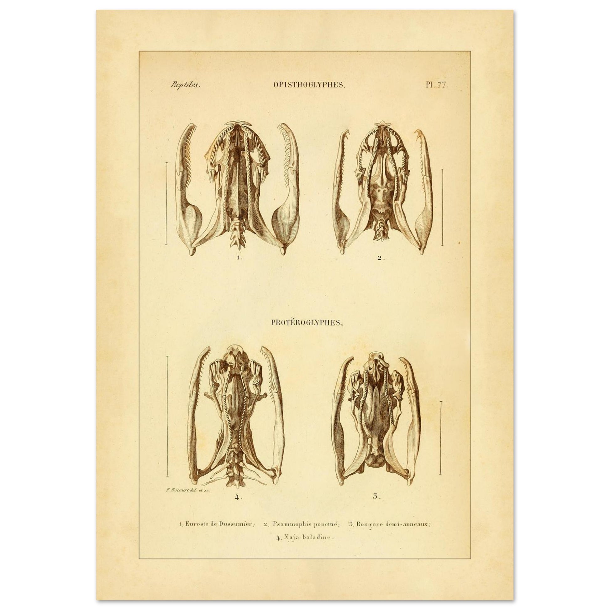 87690a6f-2a35-496f-aa17-fc0b29c78d34