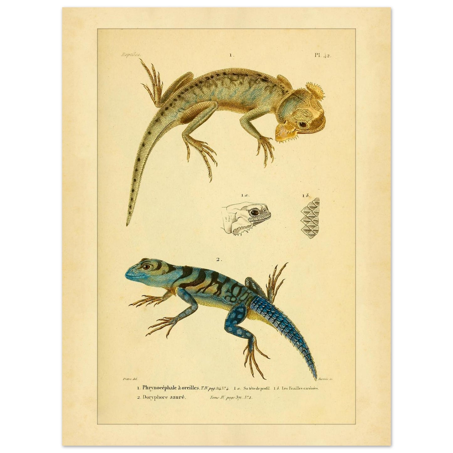 87fa7511-4cc0-4f73-9f1e-cce9d2685418