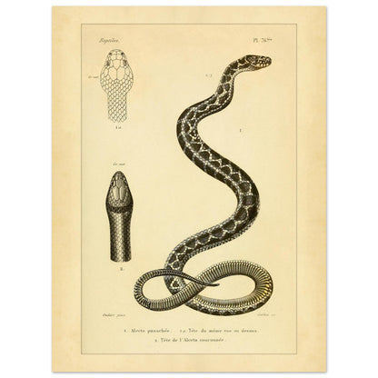 897681ef-989b-4bb9-8d96-8c6cc9488442