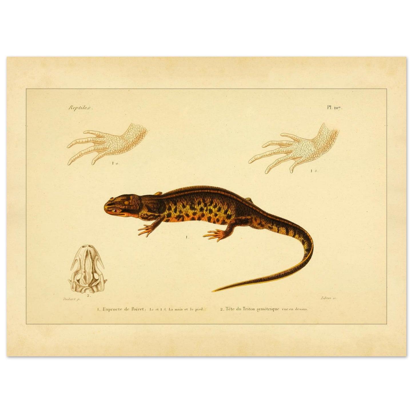 8a3ef442-237f-412c-ad07-488a6acd0ebb